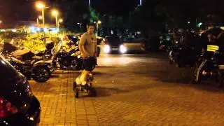 Ruffu´s no skate