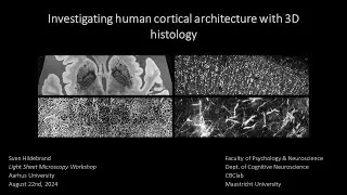 Investigating human cortical architecture with 3D histology - Sven Hildebrand at Aarhus University