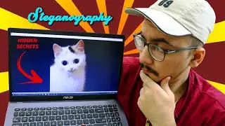 Steganography - Hide Messages In Images | Secrets Msg | Hindi