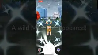 ✨Шайни Мадбрей ПОЙМАН в Pokemon Go!✨ #шорты #покемон