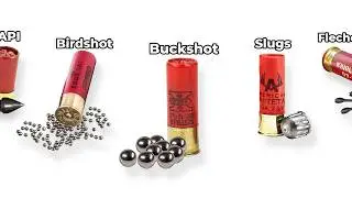 Every Type Of Shotgun Shell Explained