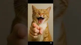 is it funny or no?  #laughing #laughingcat-0 #fpyシ #pov #pkk
