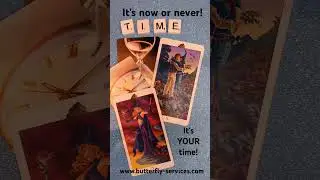 Butterfly Insightful Daily Tarot - It's now time to begin your new life! #tarotreading #mantra #love