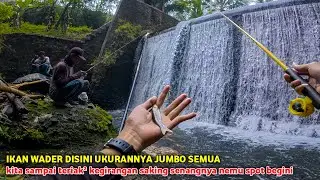 🍃 IKAN WADER DISINI UKURANNYA JUMBO SEMUA 💥 Kita sampai teriak² kegirangan saking senangnya ✅