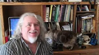 Hyperthyroid Cats and Treatment Options
