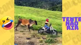 DESAFÍO! TENTE NÃO RIR IMPOSSÍVEL - OS MELHORES memes e VÍDEOS ENGRAÇADOS 2024 - #memes #humor #176