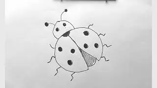সহজে লেডি বাগ আঁকা 🐞 | Easy Lady Bug Drawing Step by Step | Cute Insect Art Tutorial Bangla