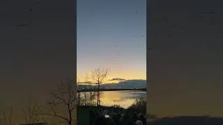 #coldplay #canada #winnipeg  #waterfront #fortwhyte #birdslover #serenity #shorts #beautyinnature