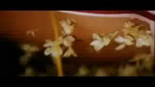 Shriya MPOD Ayushmaan