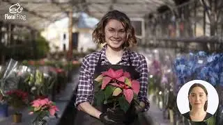 Floral Frog - Florist Management and POS | Connect with your customers and boost sales!