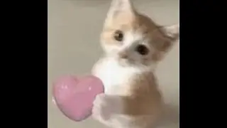 love me valo montage