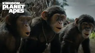 Kingdom of the Planet of the Apes | Protect News 2024