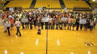 TOMS - One Day Without Shoes - Student Council Districts