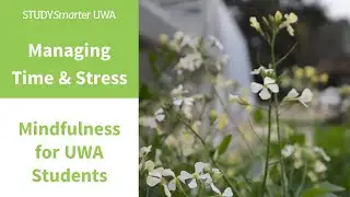 Mindfulness for UWA Students