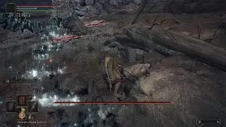 How to cheese the death rite bird in Caelid