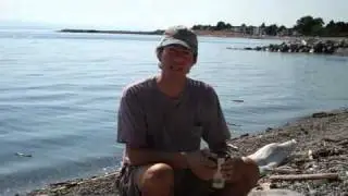 Grateful Dead - Seaside Chat: Dave's Picks Vol. 1