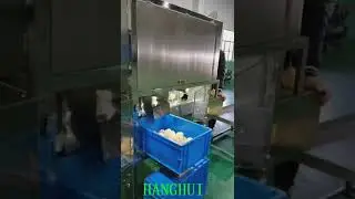 Pear Peeler and Corer Machine | Pear Peeling Machine