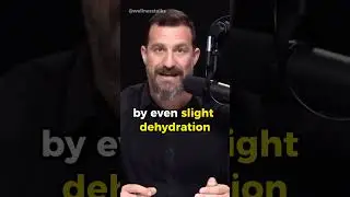 Effects of Dehydration on Human Body | Dr. Andrew Huberman #dehydration #shorts