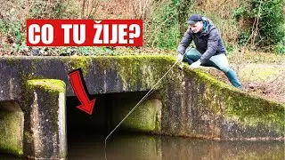 Temný Rybolov na Prívlač na Neznámom Mieste!