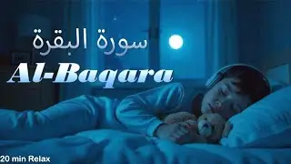 Quran For Deep Sleep With Rain 🌧️|Surah Baqarah #Beautiful Recitation #Quran with rain #quranrain