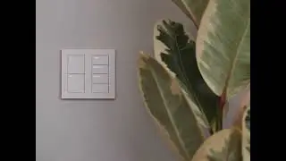 Lutron Palladiom Keypad Backlighting