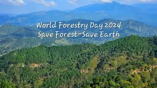 #shorts #forest #worldforestday #nature #india #s23ultra #tree #earth