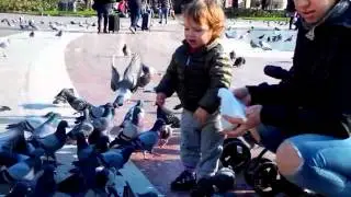 Alimentando las palomas en plaza Cataluña