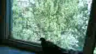30052009