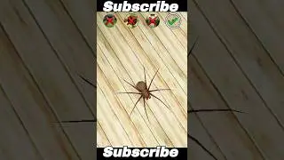 All Monster vs Spider Granny trolling 🤨🔥#granny #tranding #shorts