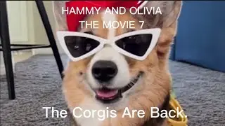 Hammy and Olivia The Movie 7