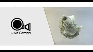 BRITANNIA WINKIN COW TVC BREAKDOWN BY LIVEACTION STUDIOS