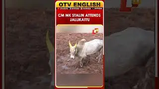 CM MK Stalin Attends World-Famous Jallikattu In Tamil Nadu