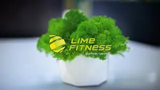 Lime Fitness Одинцово