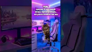 Жиза парочек?🤣 #котята #мемы #жиза #шортс
