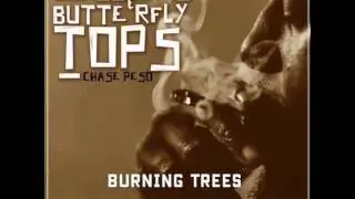 Chase PESO - Burning Trees (Prod. By Miles Brice Musilk)