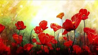 Red Flowers | Free HD Video Background | TN VFX
