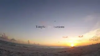 TonySea Productions - Vibe