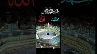 #qawalis 💙🌹💙