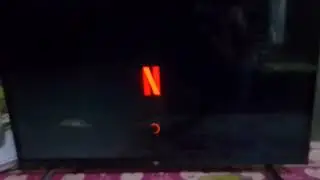 Netflix Startup Screen