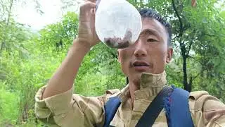 Cicada catching got out of hand &mdash; an unexpected snake encounter in the forest!