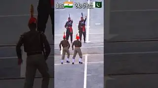 Who is the real lion of Attari Wagah border? India VS Pakistan. 🇮🇳🦁🇵🇰 #wagah #parade #indvspak