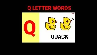 5 Q letter words