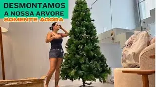 SÓ AGORA DESMONTAMOS NOSSA ÁRVORE DE NATAL 😁