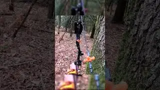 Charg&eacute; par un SANGLIER en Chasse &agrave; l'ARC !