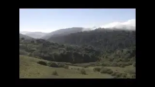 After the Goldrush