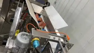 Sweet Potato Packing | FSWB3