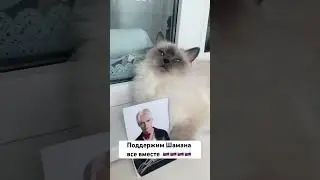 #music #eurovision #song #remix #live #матушказемля #россия #shaman #шаман #ярославдронов #концерт