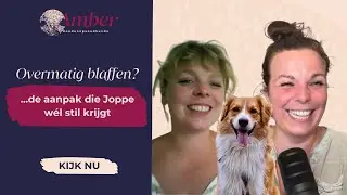 Overmatig blaffen? De aanpak die Joppe wél stil krijgt