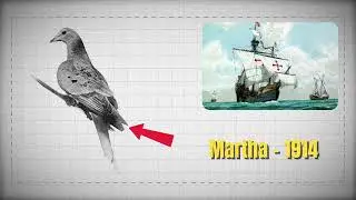The Final Images of Extinct Creatures- Unsolved Mysteries