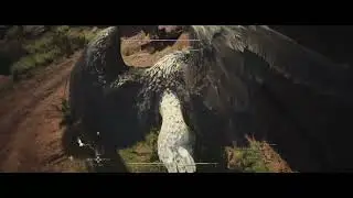 DD2 Moments, mostly bosses